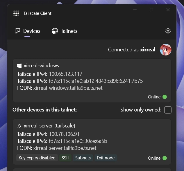 Tailscale Client